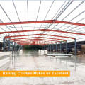 Tianrui Design préfabriqué Morden Layer Poultry Poulet Farm